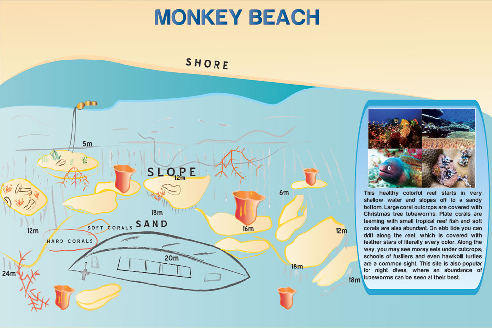 monkey-beach
