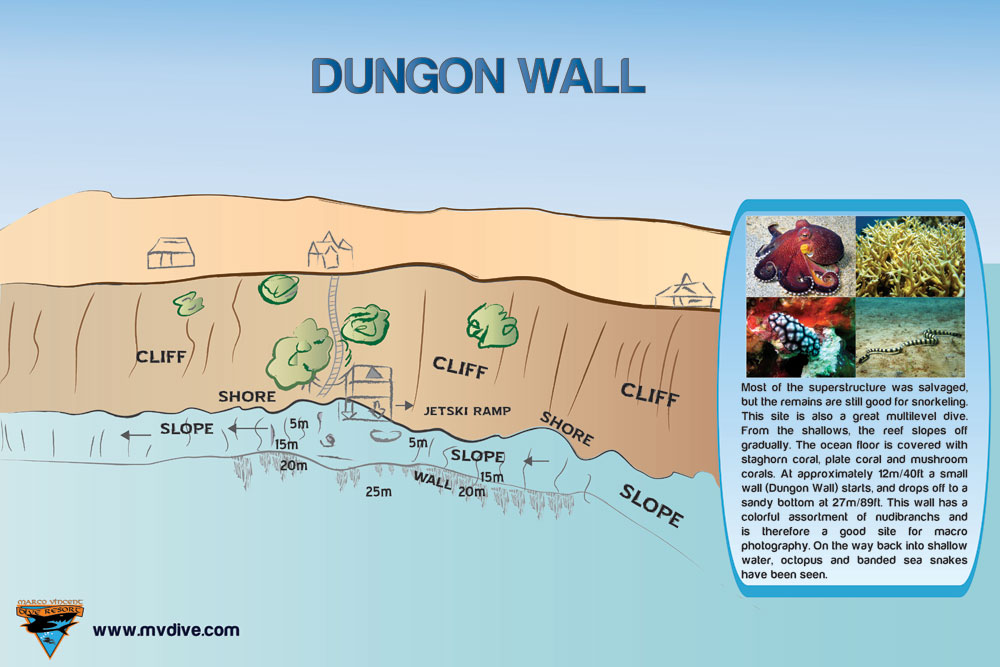 Dungon Wall