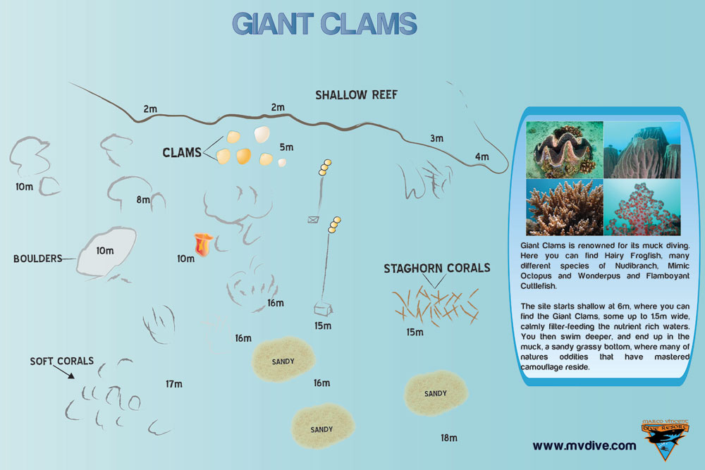 Giant Clams
