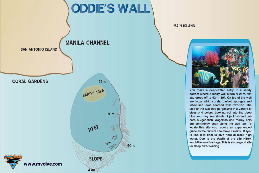 Oddie’s Wall