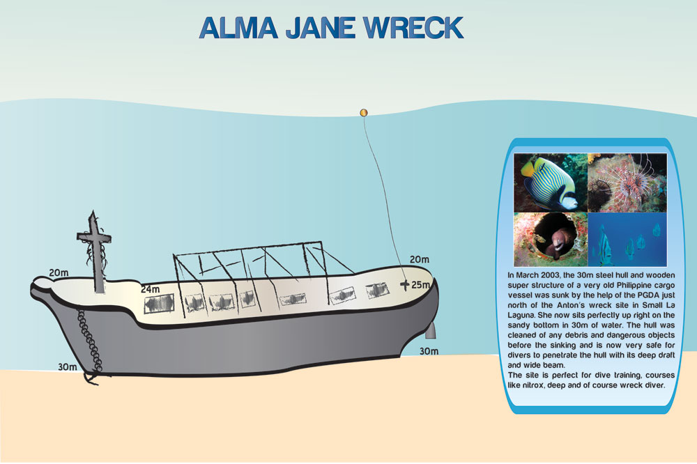 Alma Jane Wreck