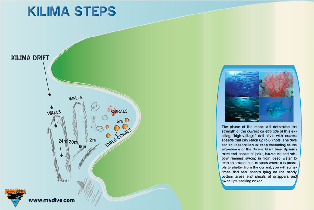 Kilima Steps