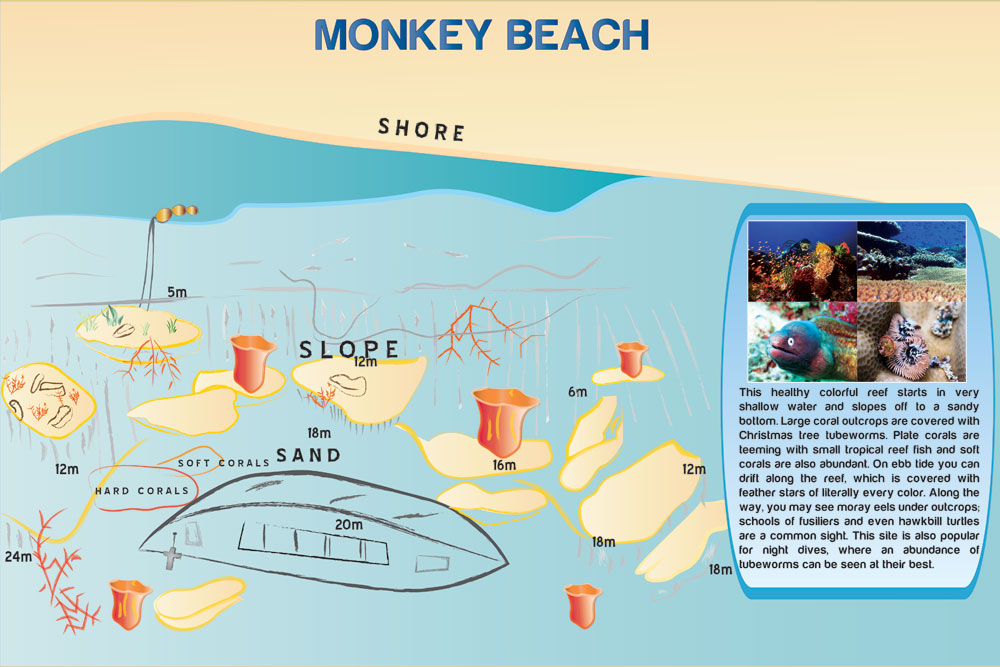 Monkey Beach