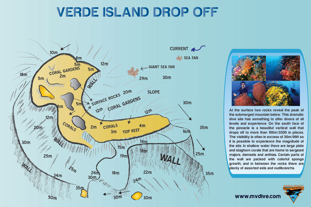 Verde Island Drop OFF