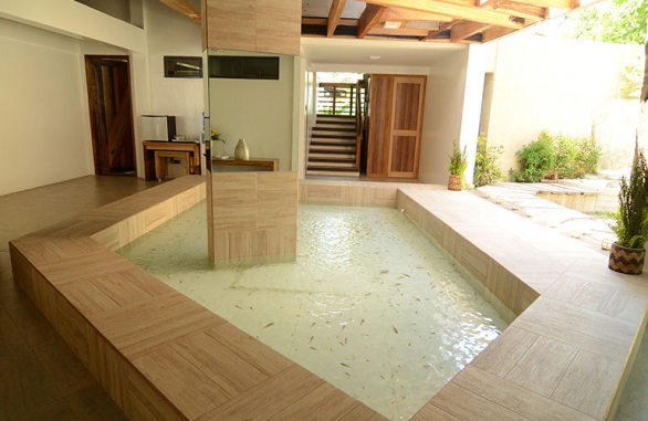 Fish Spa Room