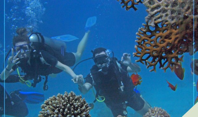 diving-under-the-sea-in-puerto-galera